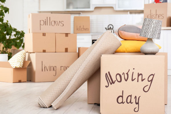 Domestic Relocation service